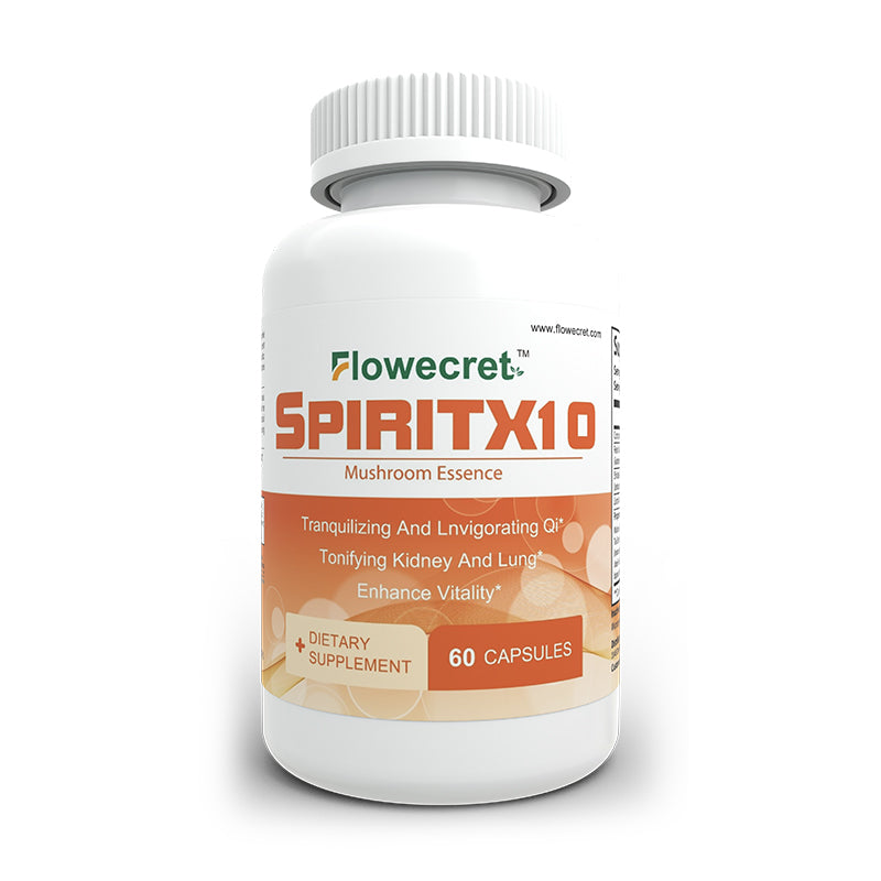 SPIRITX10