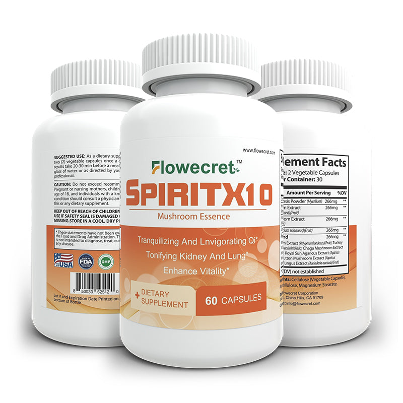 SPIRITX10